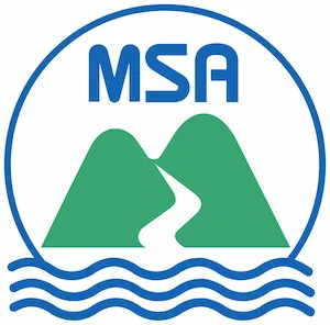 MSA